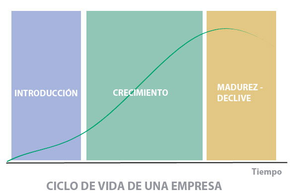 Gráfico de las distintas fases que abarcan el ciclo de vida de una empresa