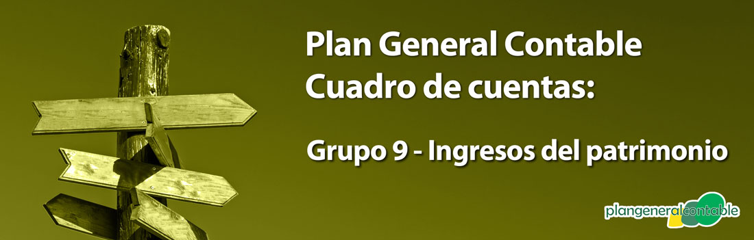 Grupo 9 - Ingresos imputados al patrimonio neto