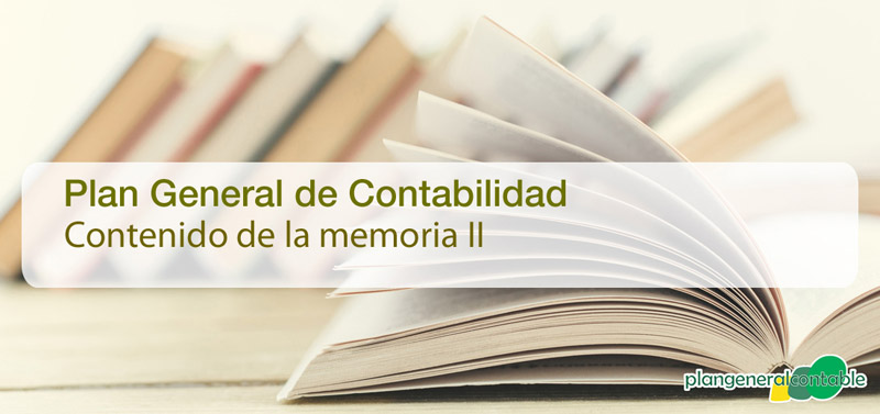 Contenido de la memoria II
