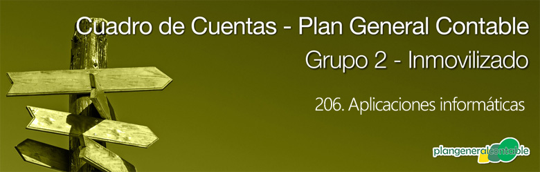 Cuadro de cuentas Plan General Contable:206. Aplicaciones informáticas