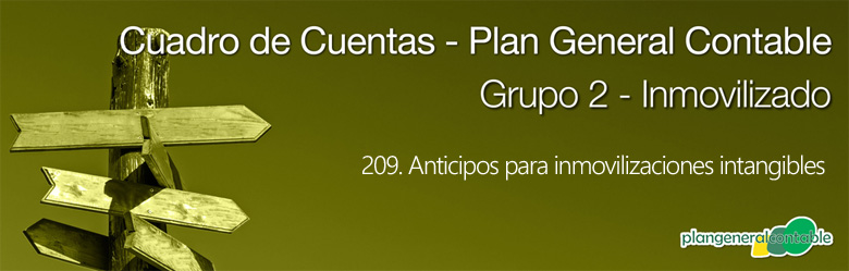 Cuadro de cuentas Plan General Contable:209. Anticipos para inmovilizaciones intangibles