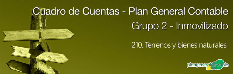 Cuadro de cuentas Plan General Contable:210. Terrenos y bienes naturales