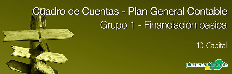 Cuadro de cuentas Plan General Contable:10. Capital